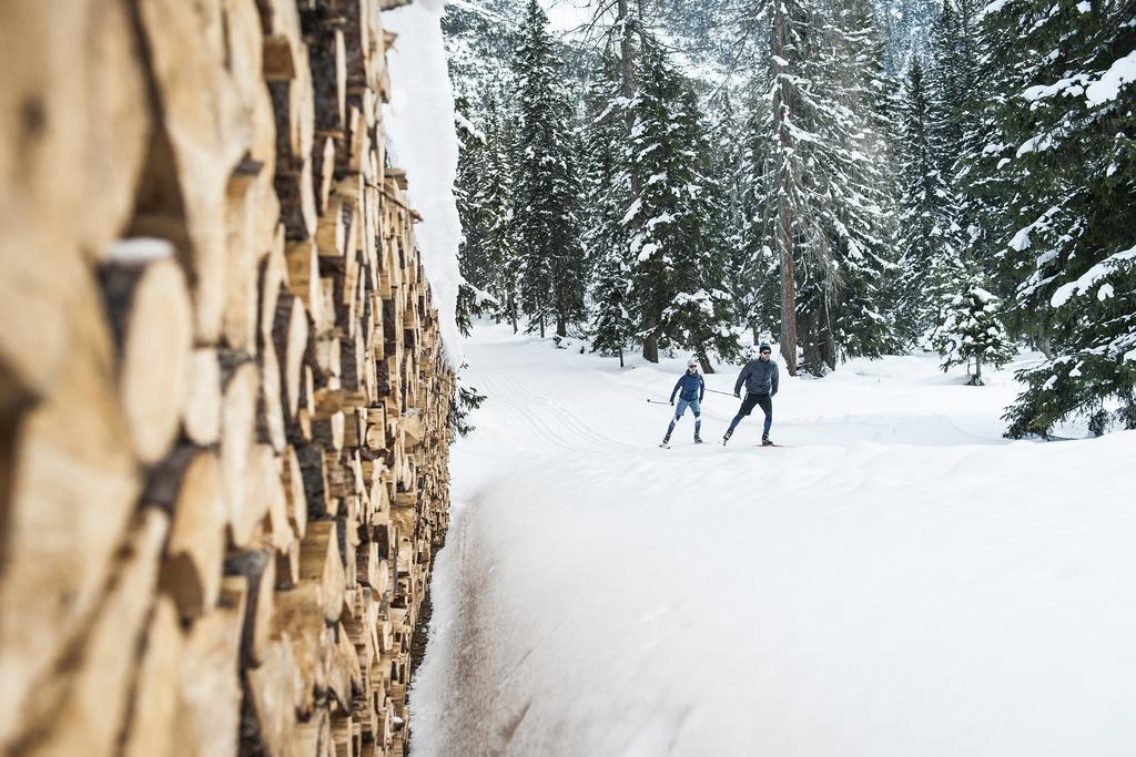 Stoanmandl Wohlfuehlappartements Neustift im Stubaital Bagian luar foto